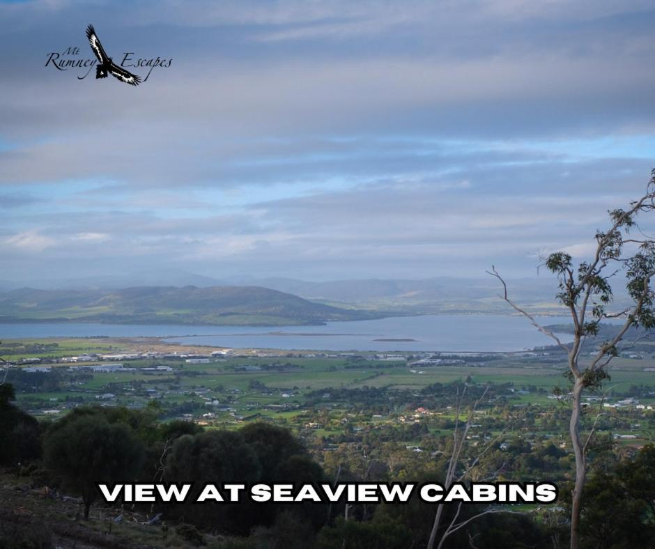 Mount Rumney Escapes - Platypus Cabin Esterno foto